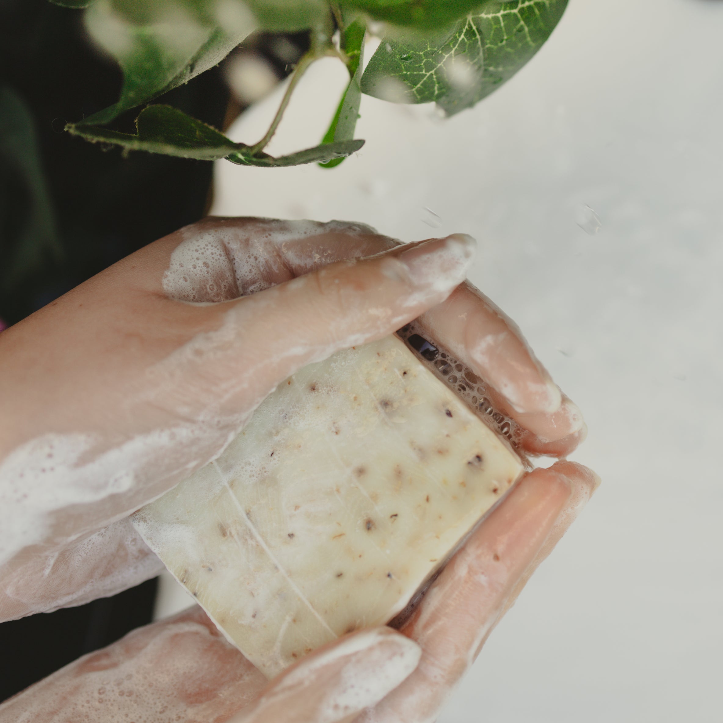 BERGAMOT + LIME SOAP with Calendula & White Clay