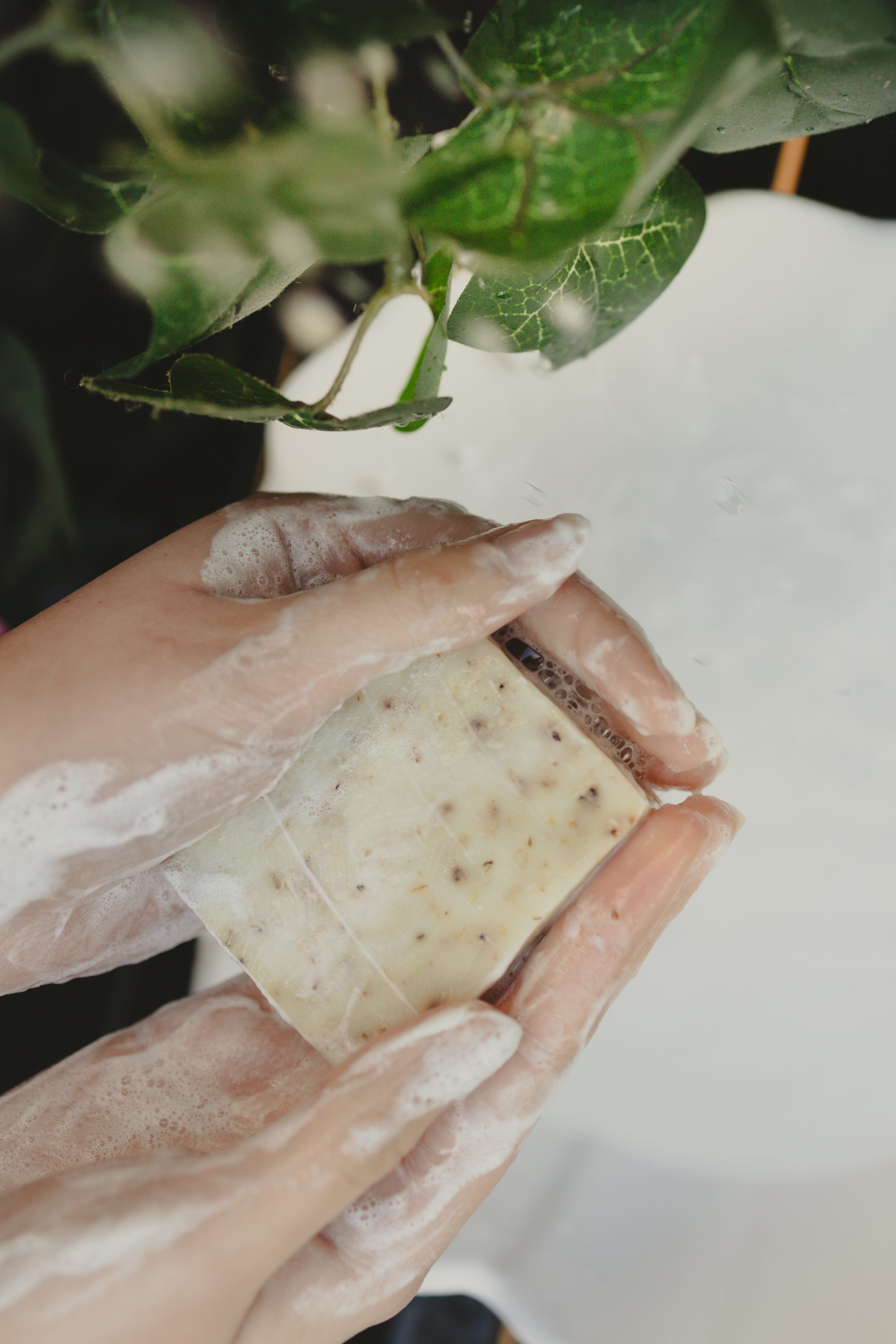 BERGAMOT + LIME SOAP with Calendula & White Clay